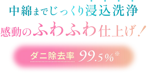 中綿までじっくり浸込洗浄感動のふわふわ仕上げ！ダニ除去率99.5%※